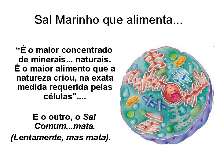 Sal Marinho que alimenta. . . “É o maior concentrado de minerais. . .