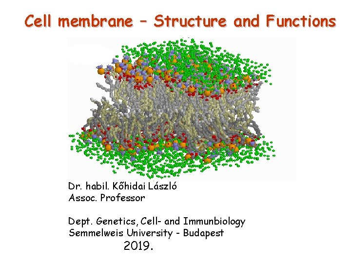 Cell membrane – Structure and Functions Dr. habil. Kőhidai László Assoc. Professor Dept. Genetics,