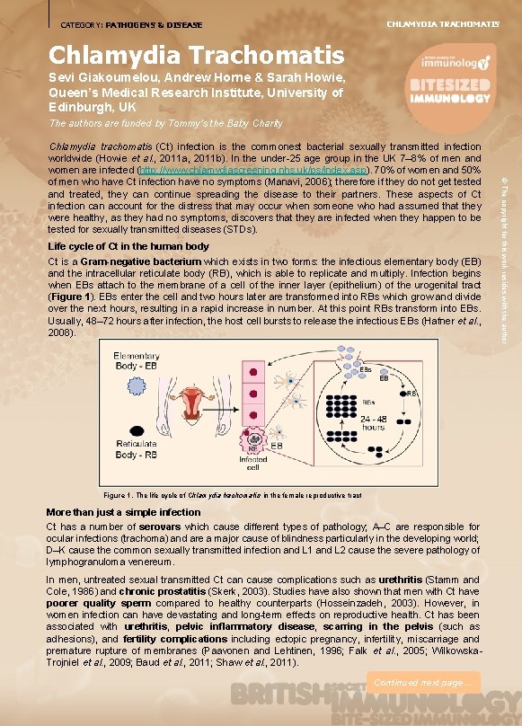 CATEGORY: PATHOGENS & DISEASE CHLAMYDIA TRACHOMATIS Chlamydia Trachomatis Sevi Giakoumelou, Andrew Horne & Sarah