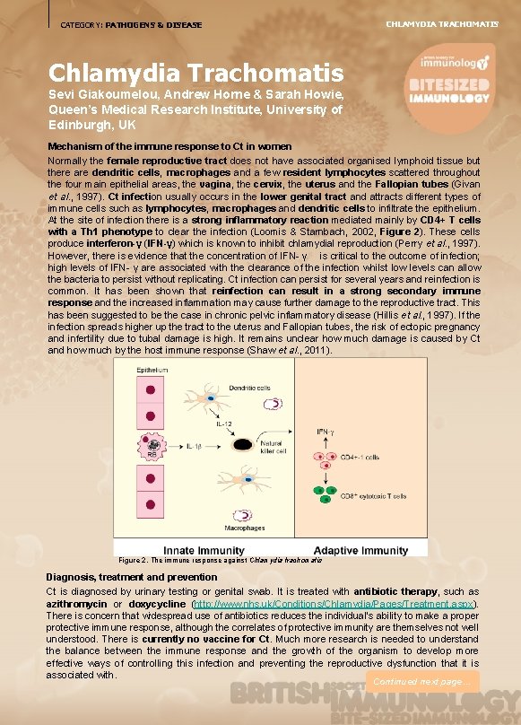 CATEGORY: PATHOGENS & DISEASE CHLAMYDIA TRACHOMATIS Chlamydia Trachomatis Sevi Giakoumelou, Andrew Horne & Sarah