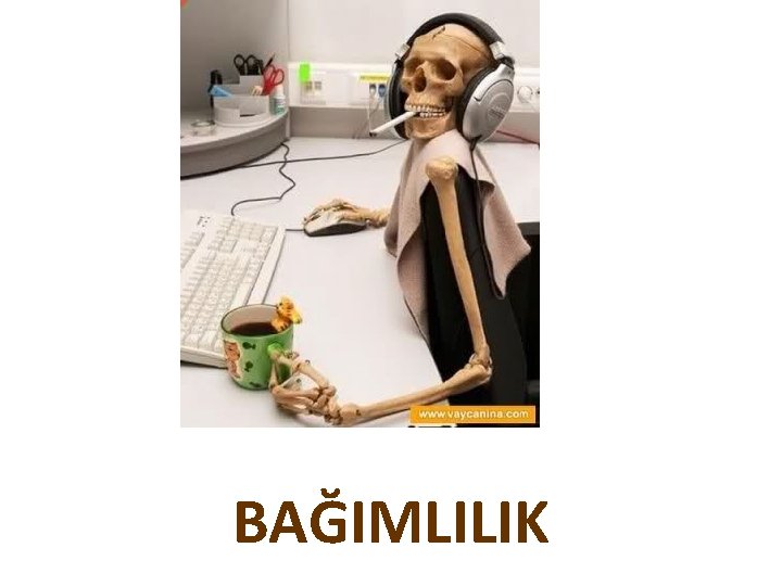 BAĞIMLILIK 