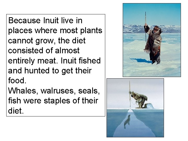 Because Inuit live in places where most plants cannot grow, the diet consisted of