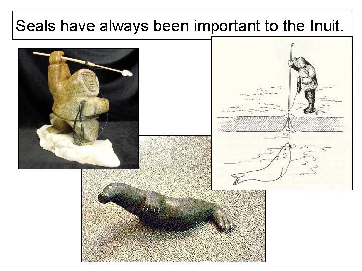 Seals have always been important to the Inuit. 