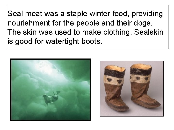 Seal meat was a staple winter food, providing nourishment for the people and their