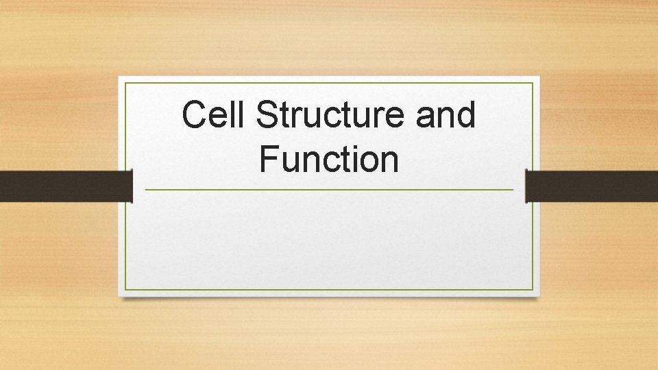 Cell Structure and Function 