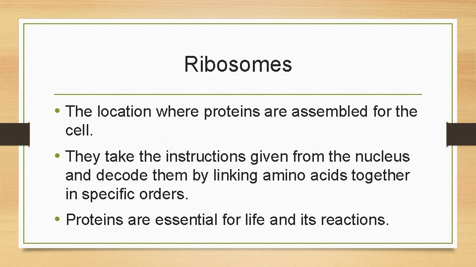 Ribosomes • The location where proteins are assembled for the cell. • They take