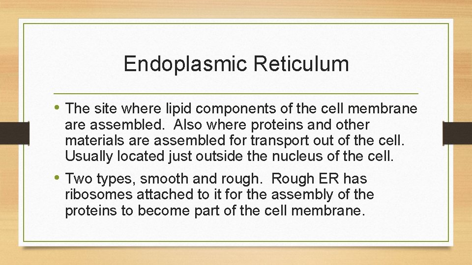 Endoplasmic Reticulum • The site where lipid components of the cell membrane are assembled.