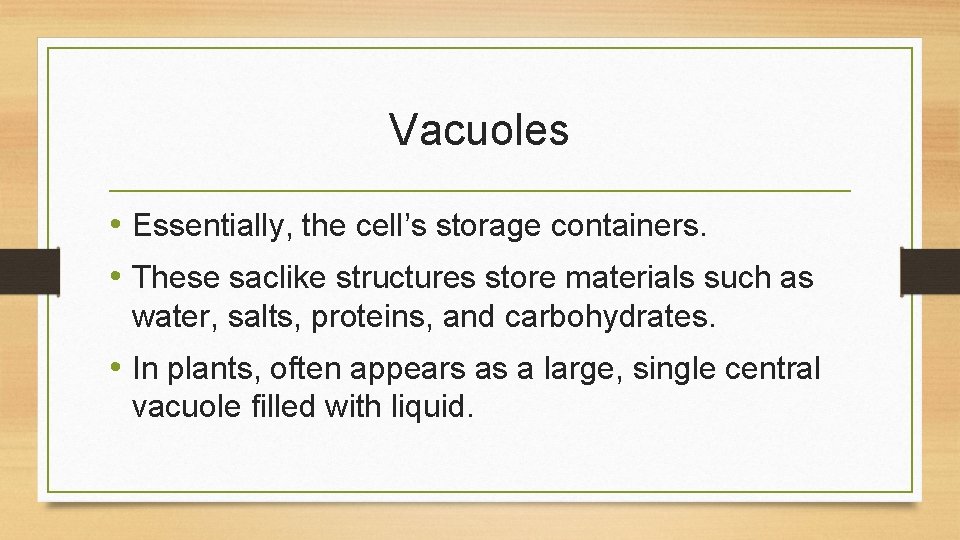 Vacuoles • Essentially, the cell’s storage containers. • These saclike structures store materials such