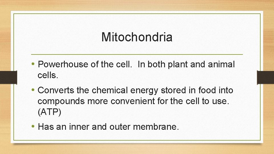 Mitochondria • Powerhouse of the cell. In both plant and animal cells. • Converts