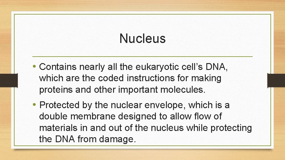 Nucleus • Contains nearly all the eukaryotic cell’s DNA, which are the coded instructions