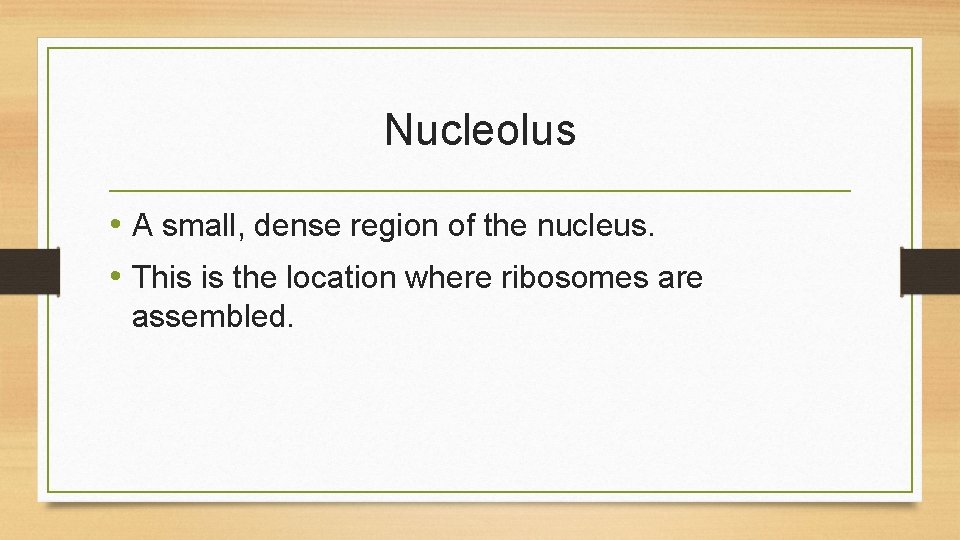 Nucleolus • A small, dense region of the nucleus. • This is the location