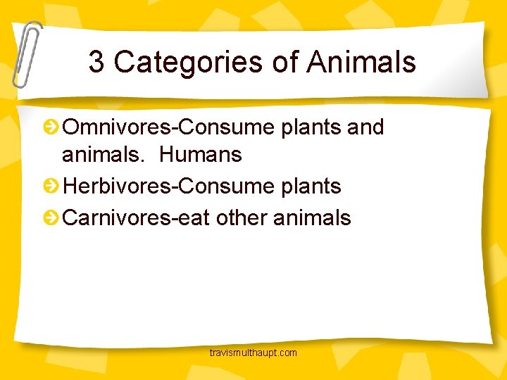 3 Categories of Animals Omnivores-Consume plants and animals. Humans Herbivores-Consume plants Carnivores-eat other animals