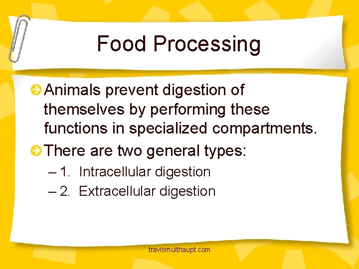 Food Processing Animals prevent digestion of themselves by performing these functions in specialized compartments.