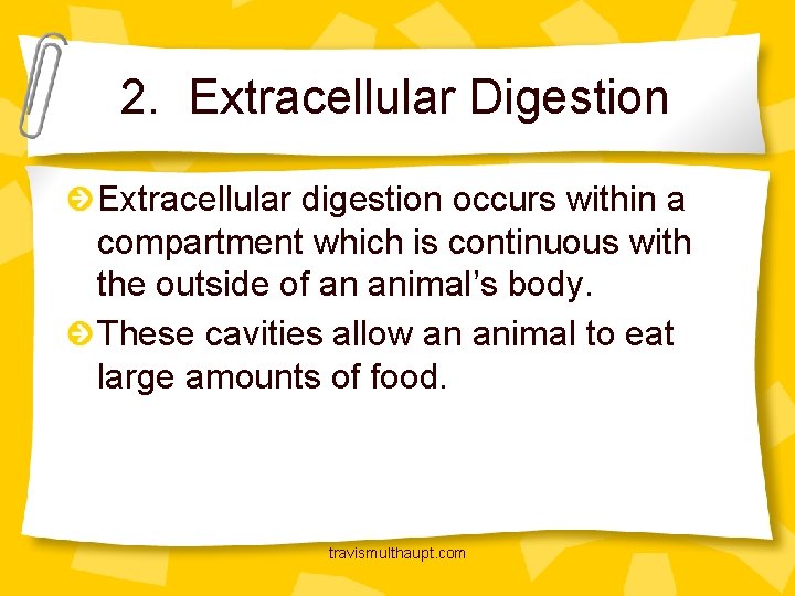 2. Extracellular Digestion Extracellular digestion occurs within a compartment which is continuous with the