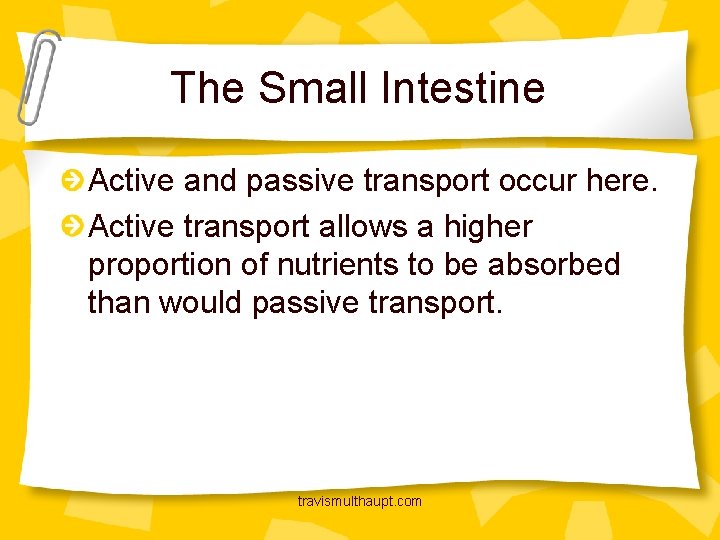 The Small Intestine Active and passive transport occur here. Active transport allows a higher