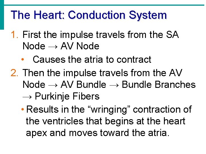 The Heart: Conduction System 1. First the impulse travels from the SA Node → The Heart: Conduction System 1. First the impulse travels from the SA Node →
