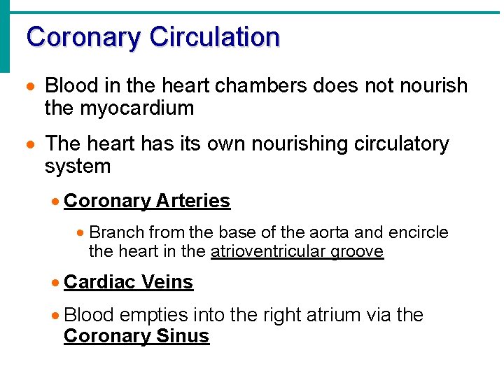 Coronary Circulation · Blood in the heart chambers does not nourish the myocardium · Coronary Circulation · Blood in the heart chambers does not nourish the myocardium ·