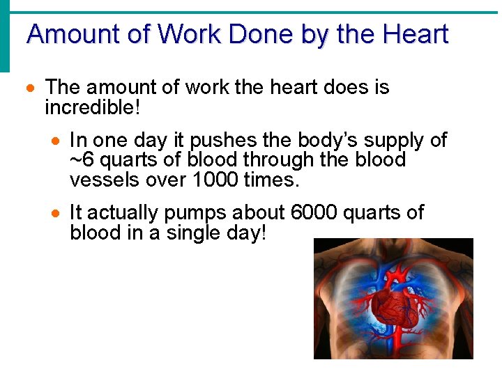 Amount of Work Done by the Heart · The amount of work the heart Amount of Work Done by the Heart · The amount of work the heart