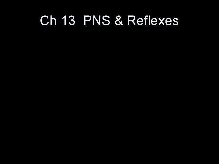 Ch 13 PNS & Reflexes 