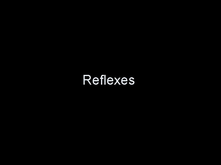 Reflexes 