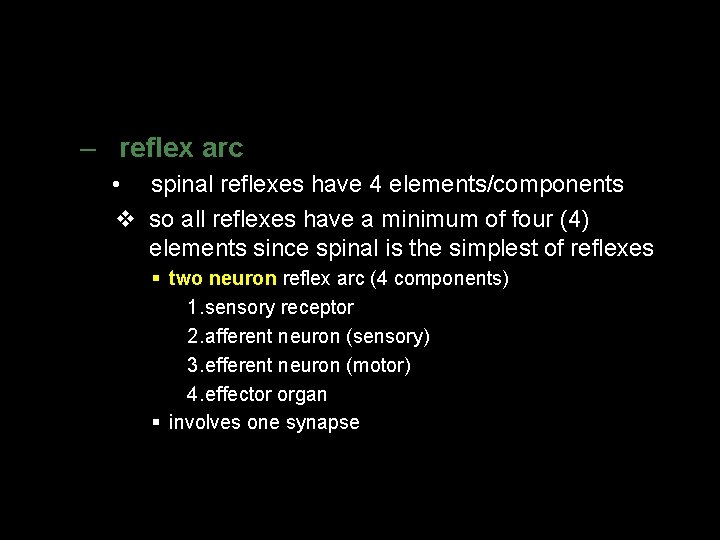 – reflex arc • spinal reflexes have 4 elements/components v so all reflexes have