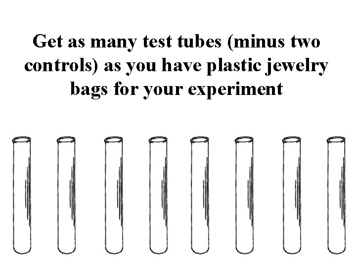Get as many test tubes (minus two controls) as you have plastic jewelry bags