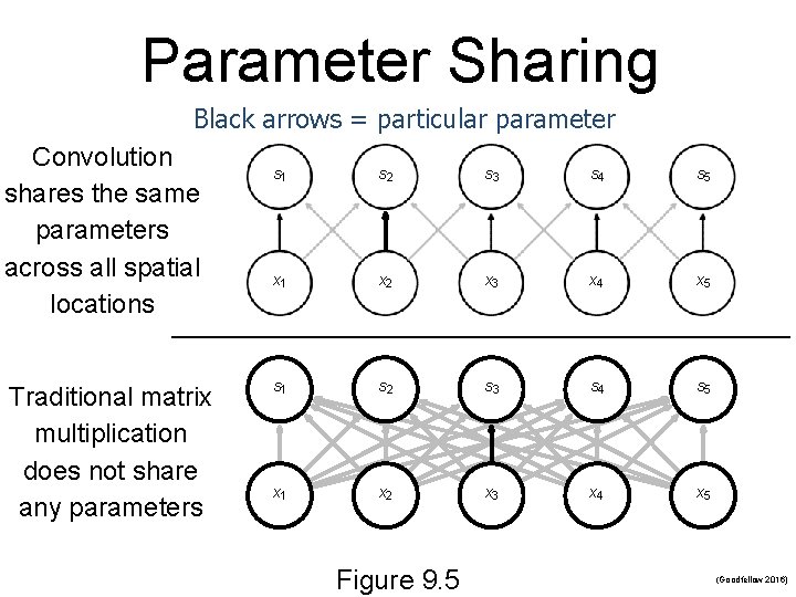 Parameter Sharing Black arrows = particular parameter Convolution shares the same parameters across all Parameter Sharing Black arrows = particular parameter Convolution shares the same parameters across all