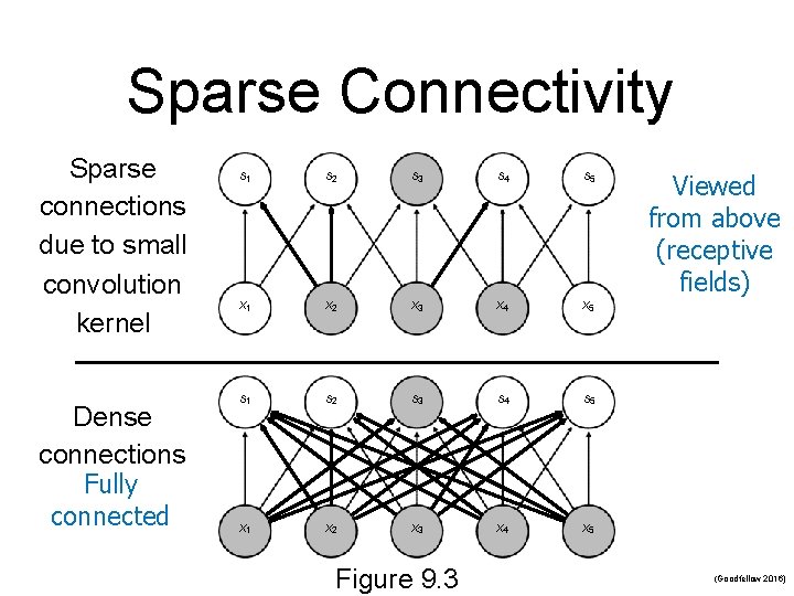 Sparse Connectivity Sparse connections due to small convolution kernel Dense connections Fully connected s Sparse Connectivity Sparse connections due to small convolution kernel Dense connections Fully connected s