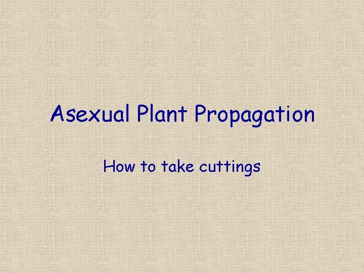 Asexual Plant Propagation How to take cuttings 