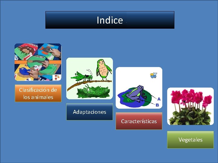 Indice Clasificación de los animales Adaptaciones Características Vegetales 