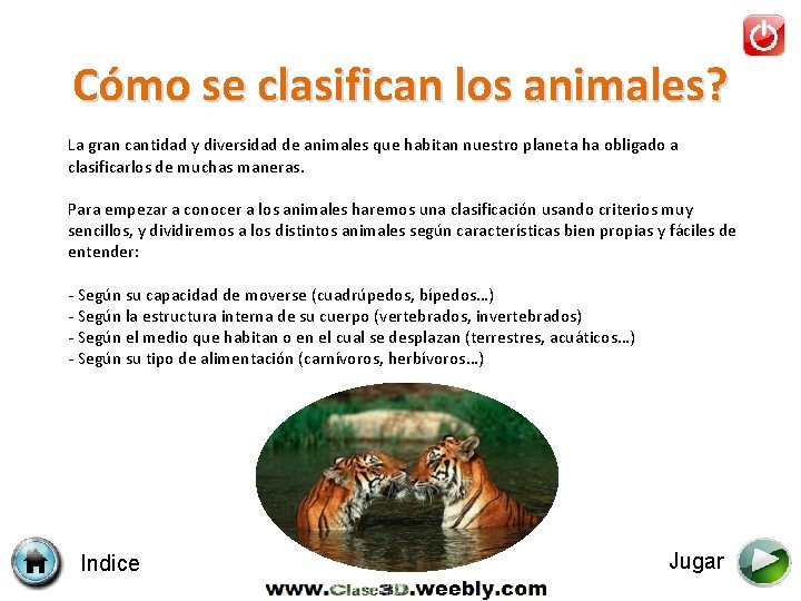 Cómo se clasifican los animales? La gran cantidad y diversidad de animales que habitan