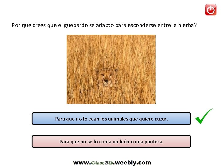 Por qué crees que el guepardo se adaptó para esconderse entre la hierba? Para