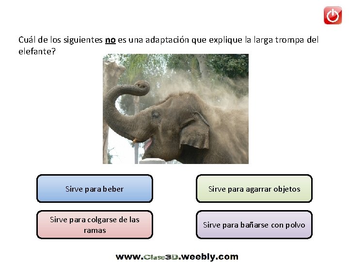 Cuál de los siguientes no es una adaptación que explique la larga trompa del