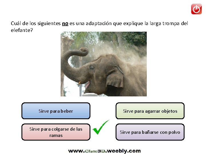 Cuál de los siguientes no es una adaptación que explique la larga trompa del