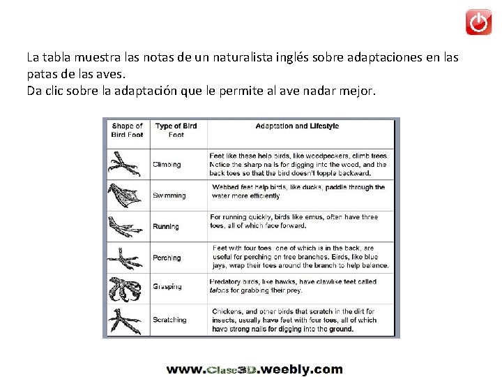 La tabla muestra las notas de un naturalista inglés sobre adaptaciones en las patas