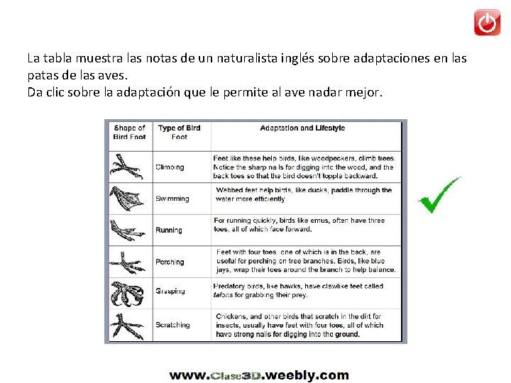 La tabla muestra las notas de un naturalista inglés sobre adaptaciones en las patas