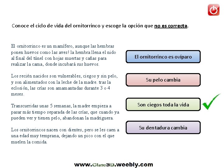 Conoce el ciclo de vida del ornitorrinco y escoge la opción que no es