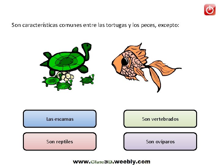 Son características comunes entre las tortugas y los peces, excepto: Las escamas Son vertebrados