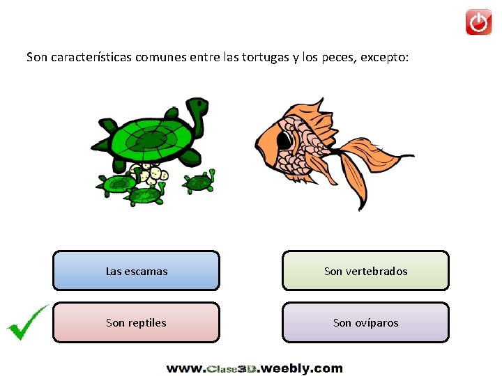 Son características comunes entre las tortugas y los peces, excepto: Las escamas Son vertebrados