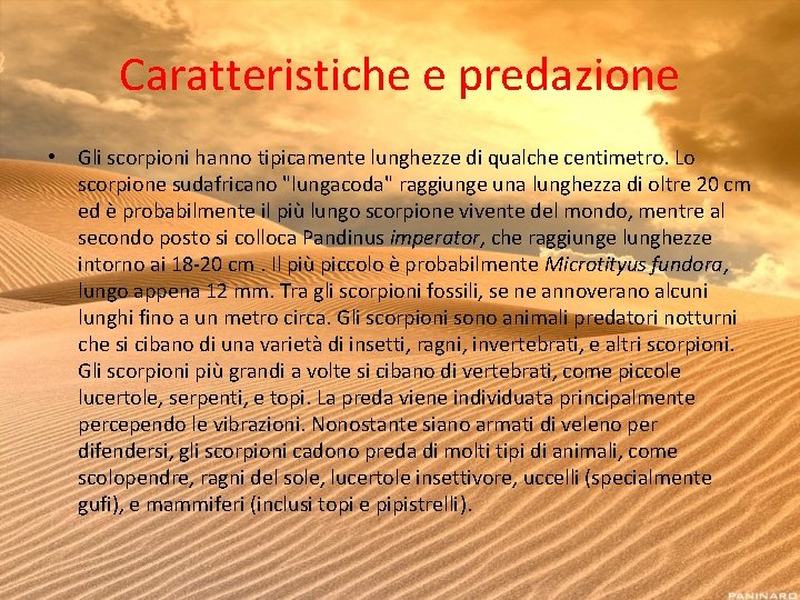 Caratteristiche e predazione • Gli scorpioni hanno tipicamente lunghezze di qualche centimetro. Lo scorpione