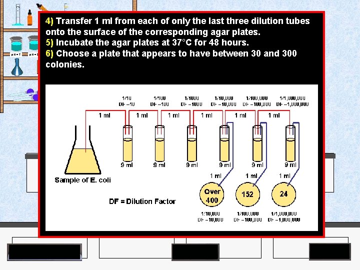 4) Transfer 1 ml from each of only the last three dilution tubes onto