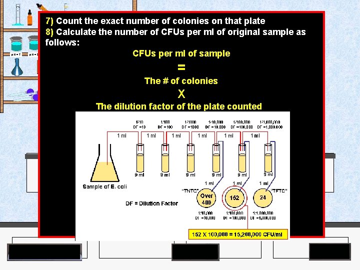 7) Count the exact number of colonies on that plate 8) Calculate the number