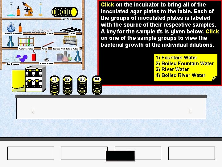 Click on the incubator to bring all of the inoculated agar plates to the