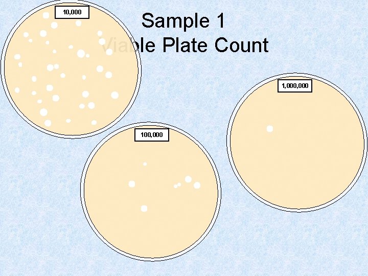 10, 000 Sample 1 Viable Plate Count 1, 000 100, 000 