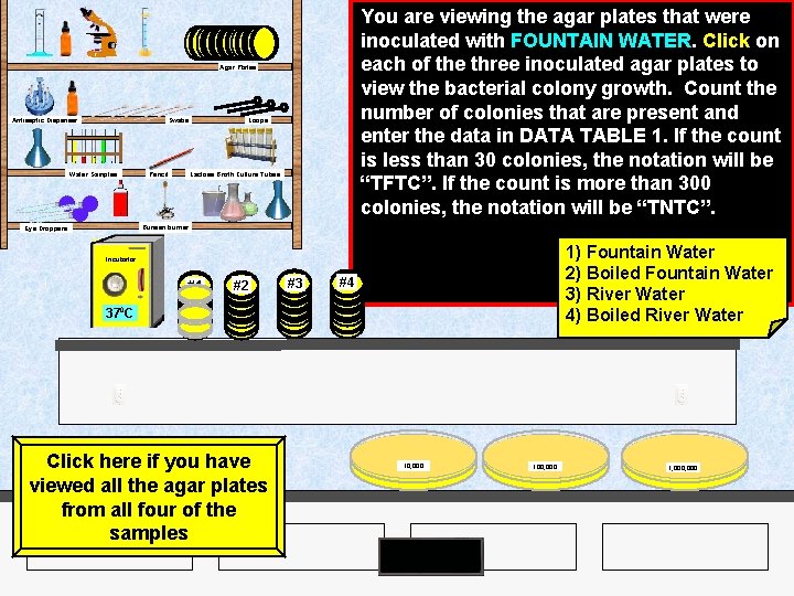You are viewing the agar plates that were inoculated with FOUNTAIN WATER. Click on You are viewing the agar plates that were inoculated with FOUNTAIN WATER. Click on