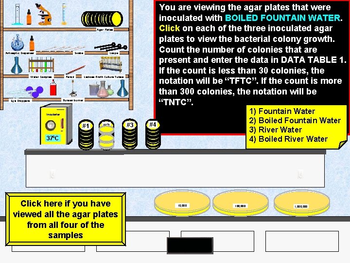 You are viewing the agar plates that were inoculated with BOILED FOUNTAIN WATER. Click