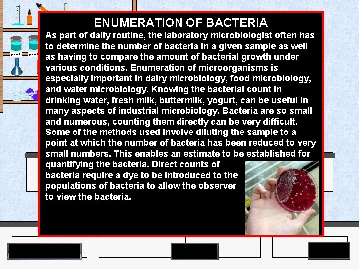 ENUMERATION OF BACTERIA Agar Plates p. H = 7 p. H = 9 As