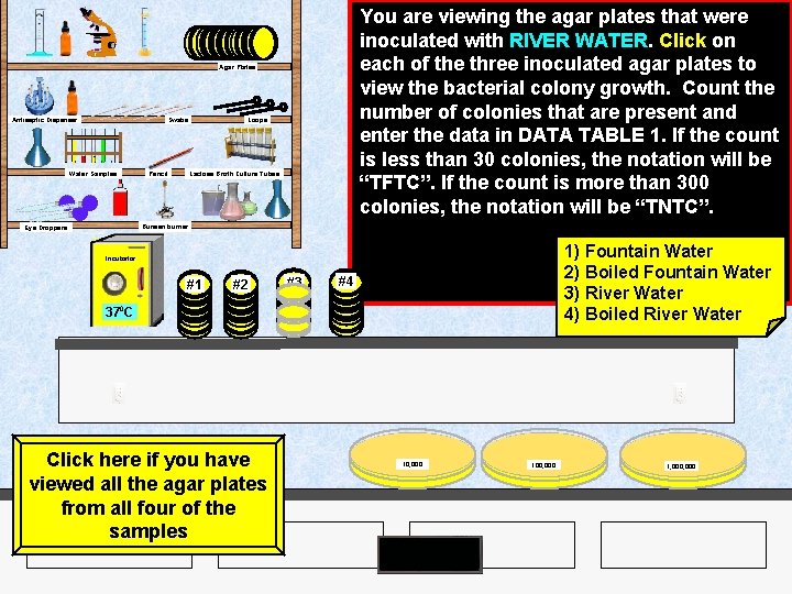 You are viewing the agar plates that were inoculated with RIVER WATER. Click on