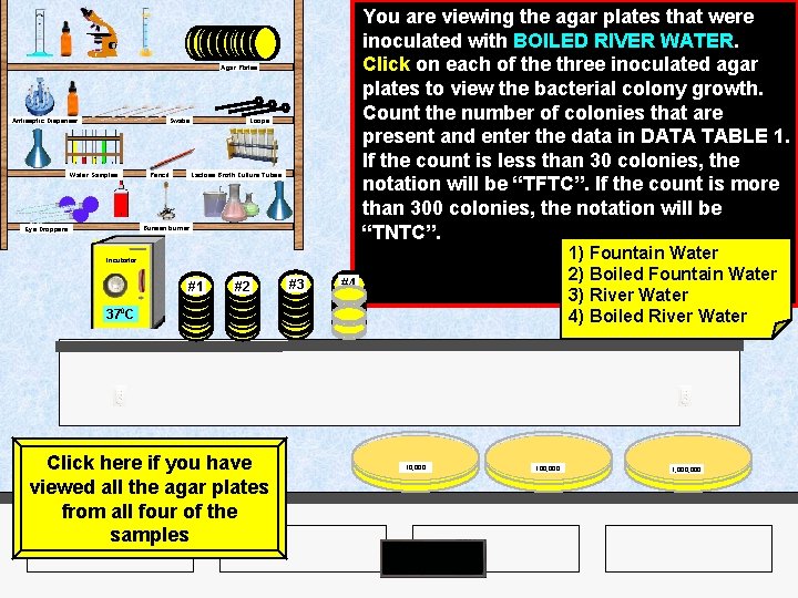 You are viewing the agar plates that were inoculated with BOILED RIVER WATER. Click