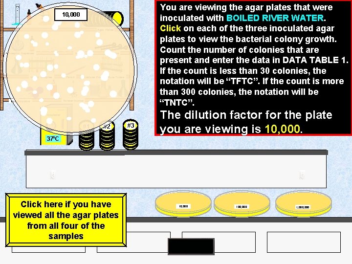 You are viewing the agar plates that were inoculated with BOILED RIVER WATER. Click